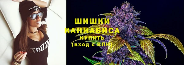 дмт Сосновый Бор