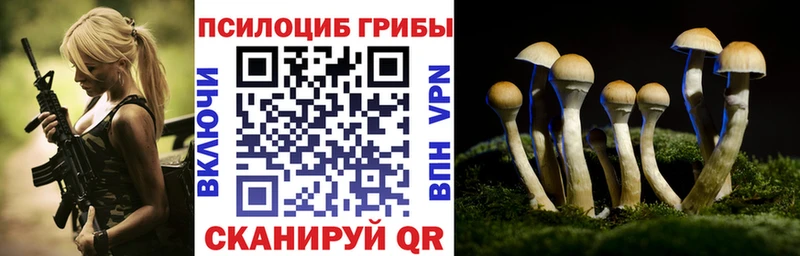 Галлюциногенные грибы мицелий  где продают наркотики  Пермь 