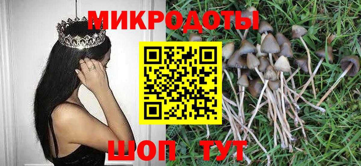 Псилоцибиновые грибы Cubensis  Вход с VPN  сколько стоит  Псилоцибиновые грибы ЛСД  Пермь 