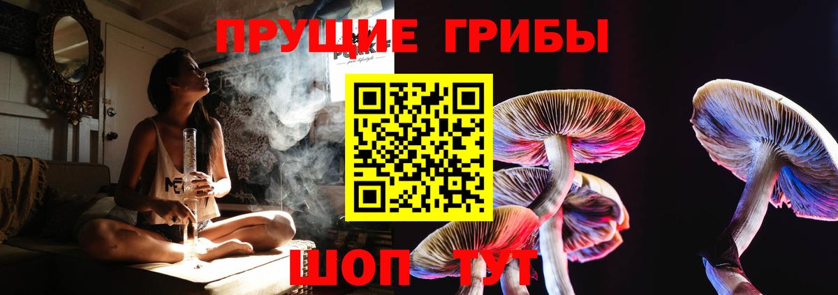 Галлюциногенные грибы MAGIC MUSHROOMS Пермь